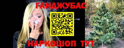 трава Новокубанск