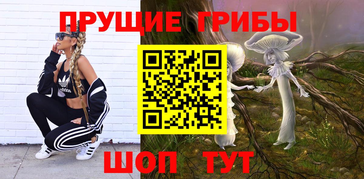 Галлюциногенные грибы Magic Shrooms  Вход с VPN  Псков  Галлюциногенные грибы Cubensis 