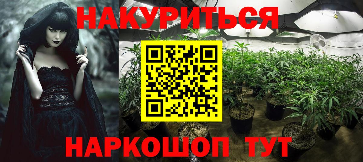 Шишки марихуана THC 21%  Бошки Шишки семена  Каннабис семена  Псков  МАРИХУАНА White Widow  Вход с VPN 
